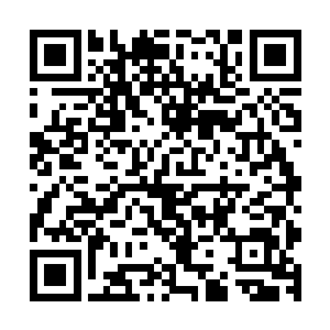 紫千御与紫千凌紫千傲等人满心期待地等着看自己弟弟的笑话二维码生成