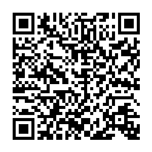 紫千御几兄弟皆是摩肩擦掌地恨不得立即把紫千幻这个臭小子给抓来痛揍一顿二维码生成