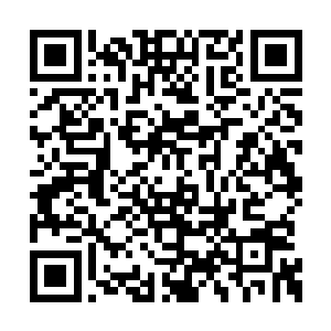 紫川仙帝手中出现了一柄紫sè的长两米多的大戟二维码生成