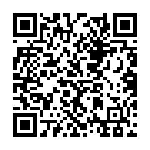 紫色人影的视线在范筱梵和古龙的身上停留了一瞬二维码生成