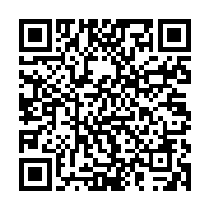 紫色的爆炸气劲夹杂着忽闪的电芒肆意从擂台中冲出二维码生成