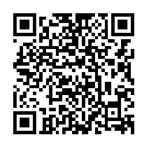 紫苏怎么可能会不知道・弗雷泽叔叔您可是我小时候崇拜的偶像二维码生成