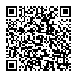 紫薇仙子甚至不惜将天庭中的百万天王画廊的核心仙蛊腾挪出来使用二维码生成