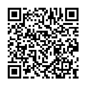 紫藤那个家伙竟然不知廉耻的投靠给了那个人类二维码生成