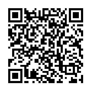 紫衣人显然在万药宫的尊级高手之中地位并不是太高二维码生成