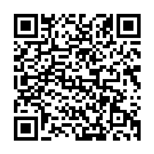 紫霞仙子居然又兴起了要去地底火山采摘还魂草的念头二维码生成