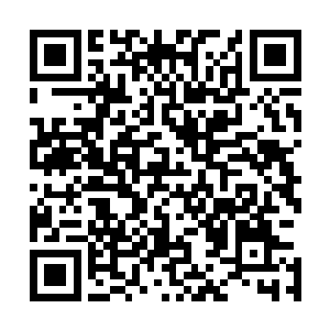 累积起来的杀气与他满腔沸腾的不屈战意诡异地融合在一起二维码生成