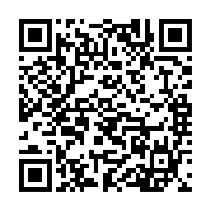 红丝软被里伸出一条葱白玉臂拉住严府管家严年的手二维码生成