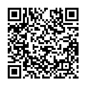 红凤现在对尊者以下级别的高手杀伤力是非常足的二维码生成