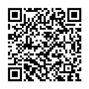 红发青年和绿发青年已经感到自己有些呼吸艰难二维码生成