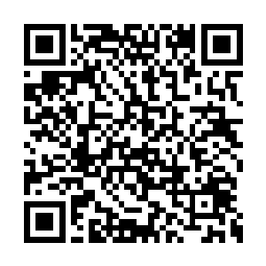 红夫人在北龙大域之中也是一元境中期中的高手二维码生成