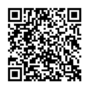 红夫人最重要的原因还是想要报答他救命的恩情二维码生成