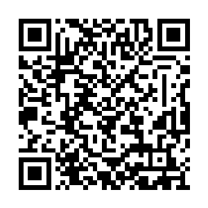 红河公司的人全部都是眼睁睁地看着董事长被打二维码生成