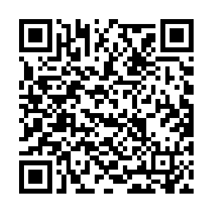 红衣老者的脸上顿时也露出了一抹难以置信的神情二维码生成