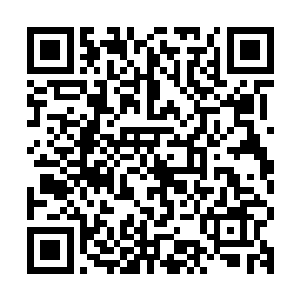 红衭的最后一鞭子飞向了那个从地上爬起来从背后偷袭她的女人二维码生成