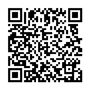 约瑟夫不动声色地将整碟烤好的面包都朝卡尔方向推了推二维码生成