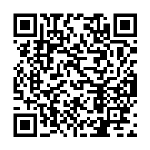 约翰的死亡以及他的巨额财富则是平息他们怒火的良方二维码生成