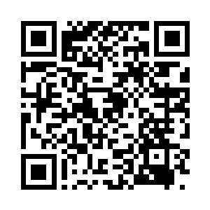 约莫有百余里远的天荒平原边缘地带二维码生成