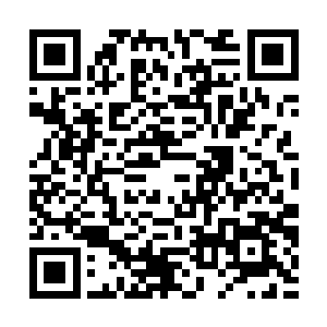 纪梓那边的突发情况吸引了血海世界3位将军的注意力二维码生成