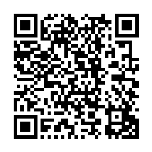 纯粹是建议的选择某年某月某日生在某处的人……二维码生成