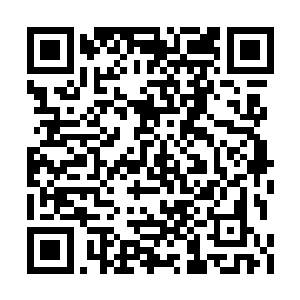 纯粹用人数密集的堆放在不到一人高的伸缩门边二维码生成