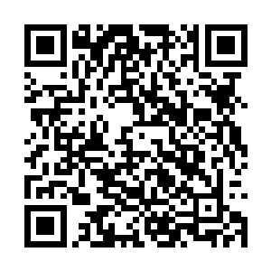 纯粹的粉白色亮丽指甲让每个指节都显得格外秀气二维码生成