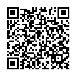 纳甲土尸从地下冒了出来骨刺没入差旺的菊花之中二维码生成