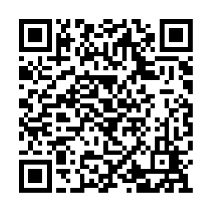 纳甲土尸取出江帆给他的疯癫丸给司空笛匹服下二维码生成