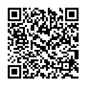 纳甲土尸还从来没有这样在元神空间蓄积能量不发二维码生成