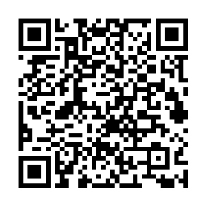 纳米机器人是如何消灭或使敌有生力量丧失战斗力的呢二维码生成
