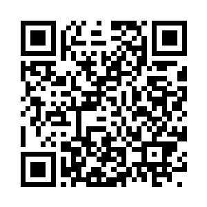 纳米闪电生命们化作一道道仓皇的闪电二维码生成