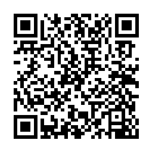 纵使归真阁一方曾数次专门布局意欲绝杀雷动天二维码生成