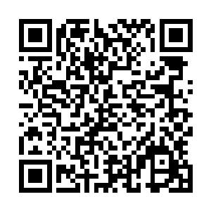 纵有信息系或是土木系的学生凑上去亲切地和柯向文打招呼二维码生成