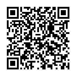 纵然心中已经想过许多次自己在此时要怎样的出手报复二维码生成