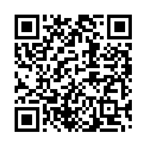 纵然是同为至尊的罗天和泣血二人有心观察二维码生成