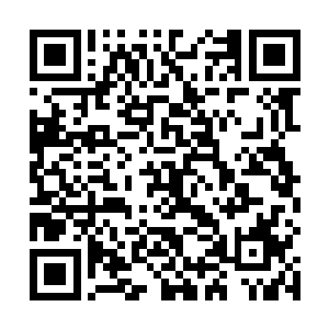 纵然是带着质问的语气也叫人听得如沐春风陛下何弃疗二维码生成