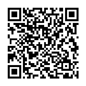 线条清楚圆润的锁骨就像是引炸朱平安血液的引线二维码生成