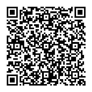 组成十二诸象大阵许家弟子骇然地发现整个湖泊中的那浓郁的灵气都在快速地向着许紫烟聚集二维码生成