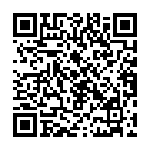 组织两帮人为了合作兴办热电厂的事宜进行着艰苦的谈判二维码生成