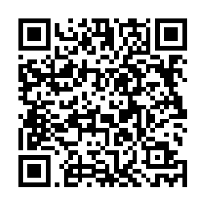 细微的异域法则对冲让天罗地网的蛛丝缠绕泄开一丝漏洞二维码生成