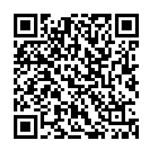 细细思索该注入多少精神力才能平稳的维持到一首曲子弹完二维码生成