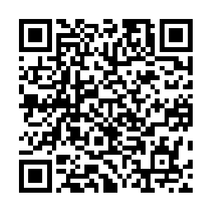 细致都让莱昂纳多对于演员这个职业似乎有多了一些领悟二维码生成