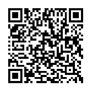 终于出场了呢……战斗力超过八位数的家伙……二维码生成