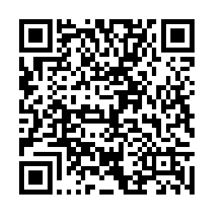 终于可以好好的躺在地上感受一下大地的温暖了吗二维码生成