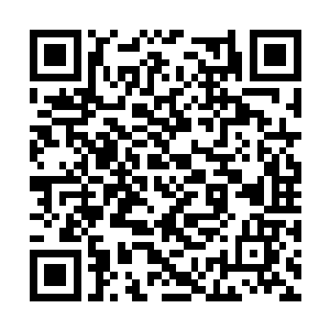 终于如同斗败了的公鸡一般垂头丧气的从空中坠下二维码生成