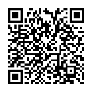 终于想起似乎其他的分身也有遇到过类似的鸟儿二维码生成