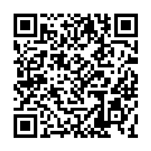 终于成功将另外一柄索多玛之刃也握在了手心里二维码生成