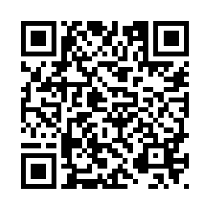 终于找到一处比较平坦繁密的树林二维码生成