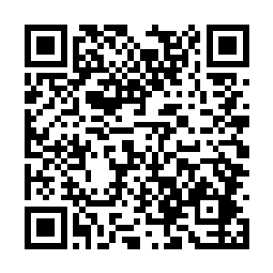 终于看见了一个强大的中国在世界的东方冉冉站起二维码生成