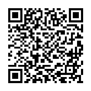 终于等到了特蕾莎灵力尽失这千载难逢的好机会二维码生成